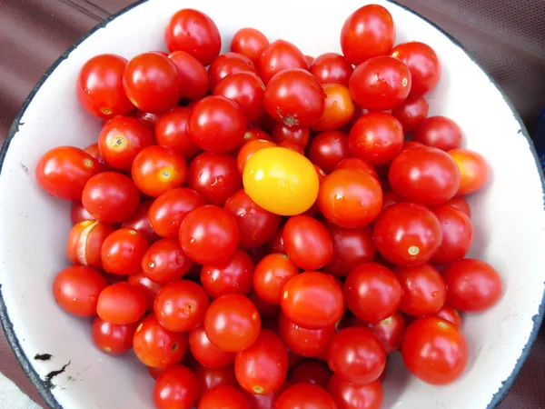 Küçük kırmızı ve sarı domates yemekleri. Bir fincan genç domates.