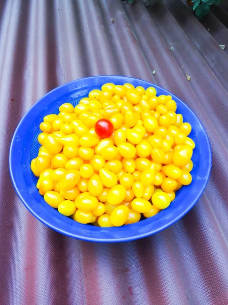 Small red and yellow tomatoes in the dishes. Young tomatoes in a cup. — Stock Photo, Image