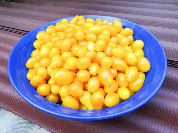 Small red and yellow tomatoes in the dishes. Young tomatoes in a cup. — Stock Photo, Image