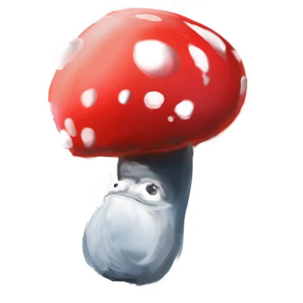 Illustration of mushrooms. The mushroom pattern is not suitable for food. — Stock Photo, Image