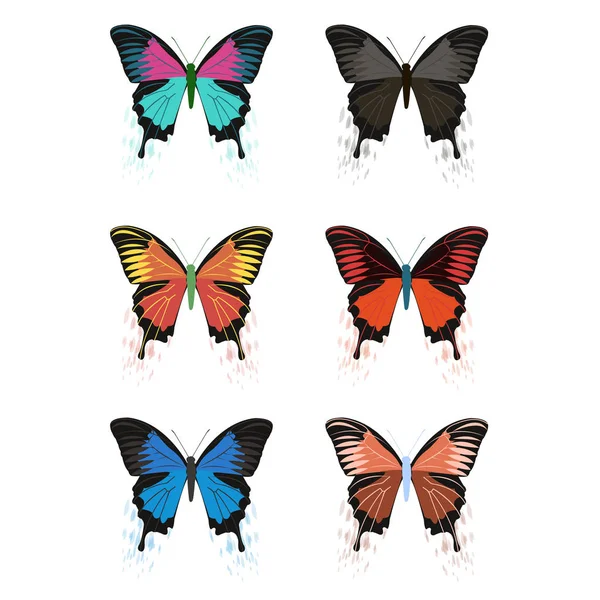 Vector butterflies on a white background. — Stock Vector