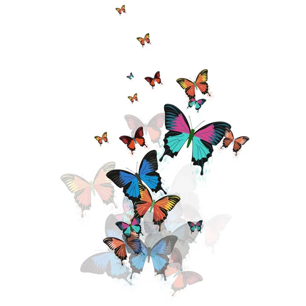 Mariposas vectoriales sobre fondo blanco . — Archivo Imágenes Vectoriales