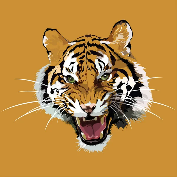 Διάνυσμα επικεφαλής μιας τίγρης. — Διανυσματικό Αρχείο