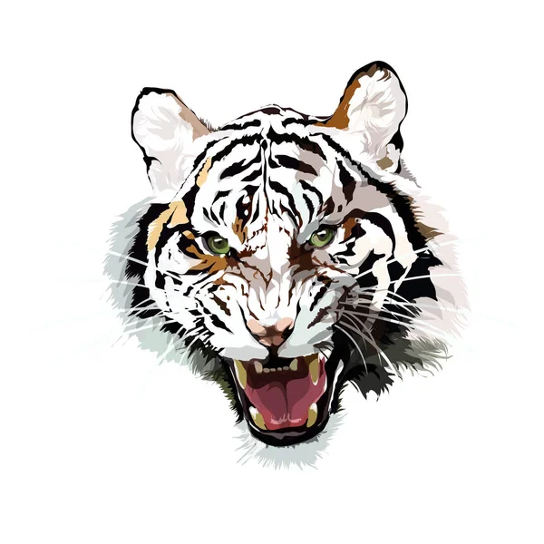Cabeza vectorial de un tigre . — Archivo Imágenes Vectoriales