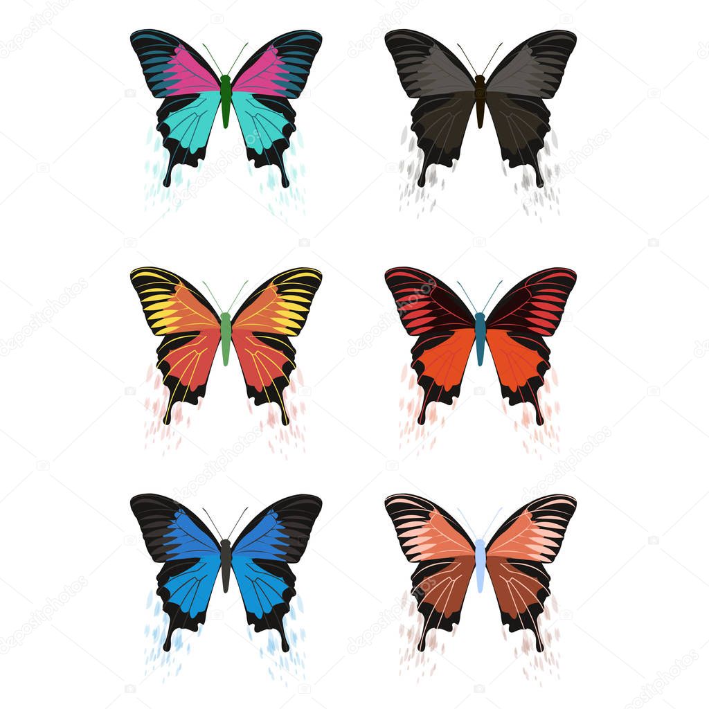 Vector butterflies on a white background.