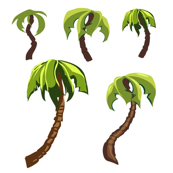 Palm trees set. — Stock Vector