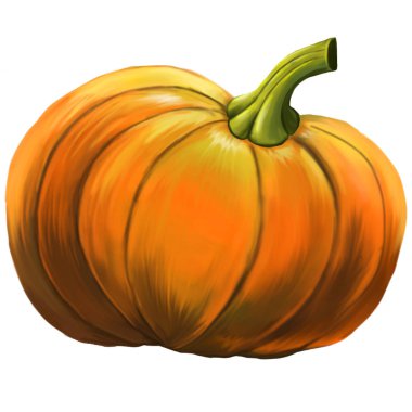 Balkabağına çizimi.