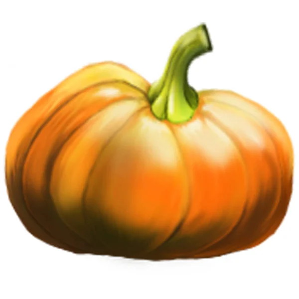 Ilustración de una calabaza . — Foto de Stock