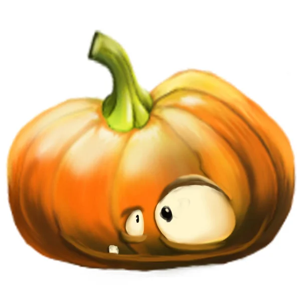 Ilustración de una calabaza . — Foto de Stock