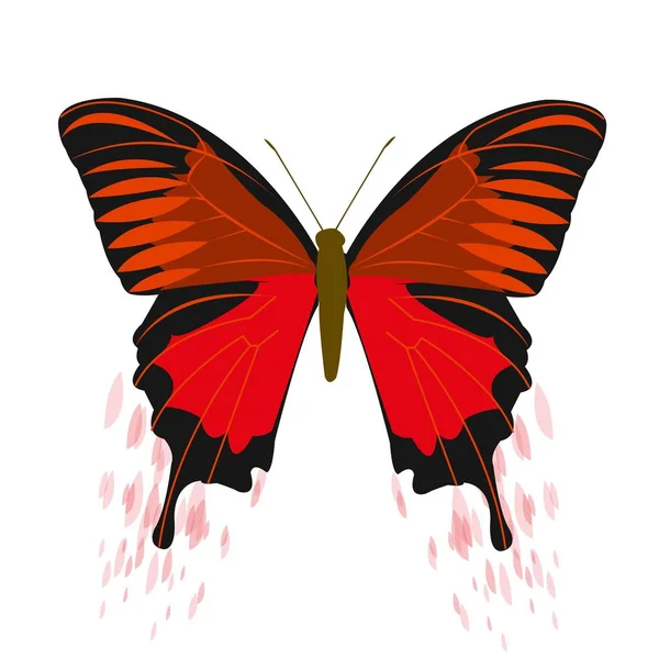 Ilustração vetorial de uma borboleta. — Vetor de Stock