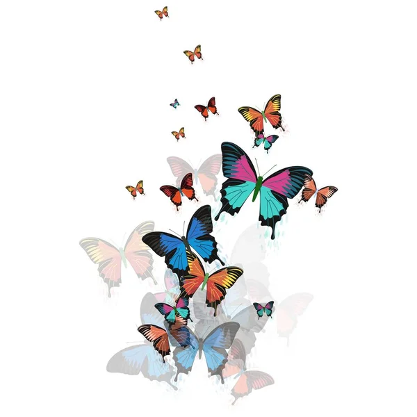 Illustration vectorielle d'un papillon. — Image vectorielle