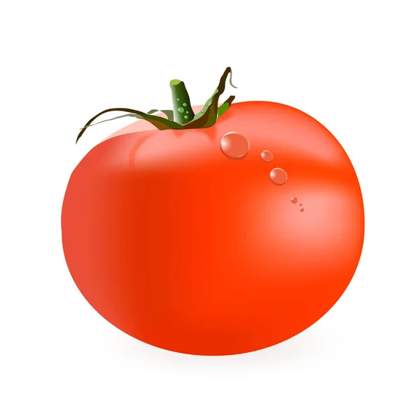 Illustrazione vettoriale di un pomodoro. — Vettoriale Stock