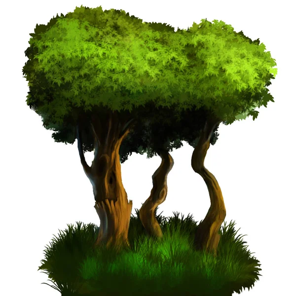 Illustratie van een boom. — Stockfoto