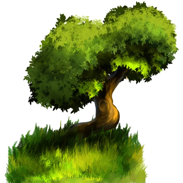 Bir ağacın çizimi. — Stok fotoğraf