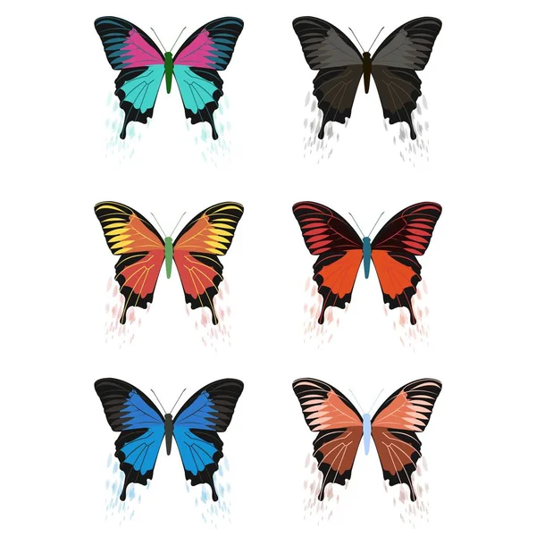 蝶のベクトル図. — ストックベクタ