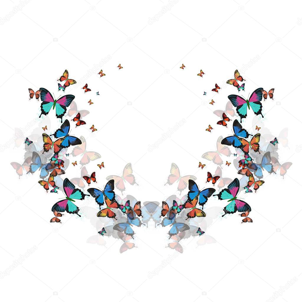Vector illustration of a butterfly.