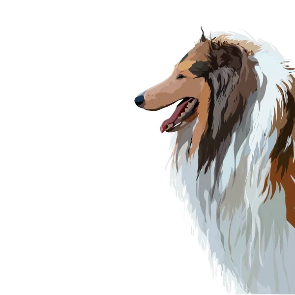 Vector ilustración de un perro. — Vector de stock