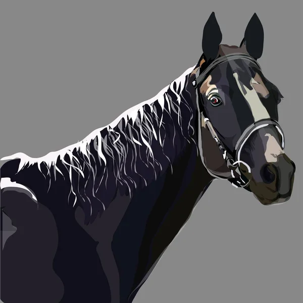 Ilustração de um cavalo cinzento . — Vetor de Stock