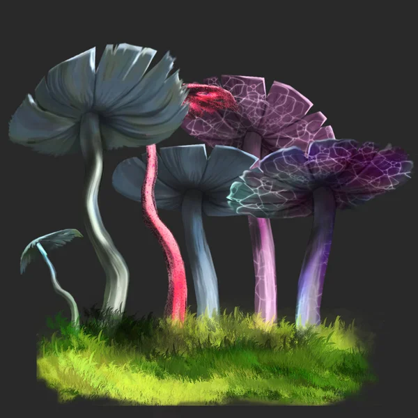 Illustratie van paddestoelen. — Stockfoto