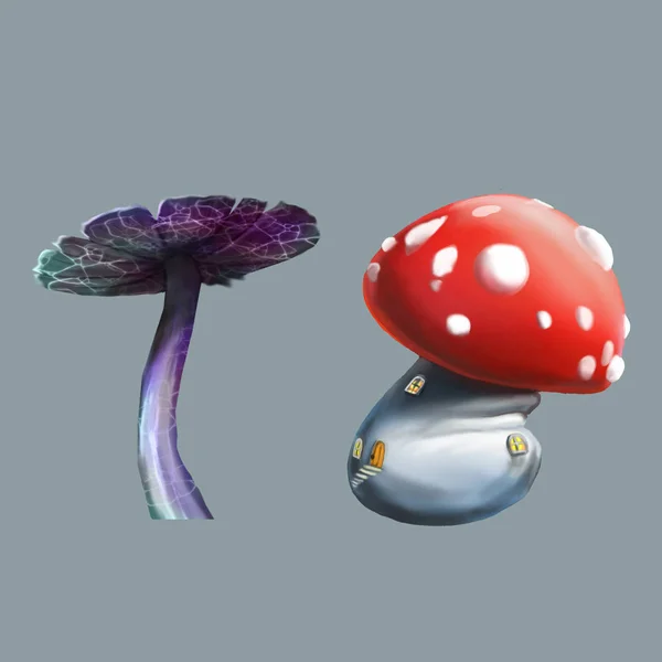 버섯의 그림. — 스톡 사진