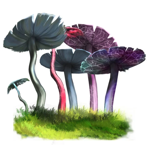 Abbildung von Pilzen. — Stockfoto