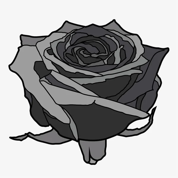 Ilustración vectorial de una rosa. — Archivo Imágenes Vectoriales