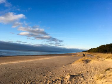 Roma 'nın mimarisi, binaları ve yapıları. Antik İtalyan mimarisi, sokaklar, evler ve doğa.