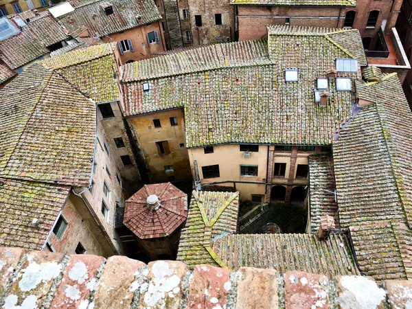 Arquitetura Edifícios Construções Roma Arquitetura Italiana Antiga Ruas Casas Natureza — Fotografia de Stock