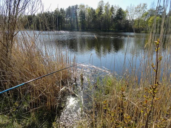 Staw Jezioro Wędkowanie Miejsce Łowienia Ryb Ciche Spokojne Jezioro Wirujący — Zdjęcie stockowe
