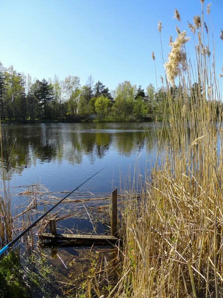 Étang Lac Pêche Endroit Pour Pêcher Calme Lac Calme Filature — Photo