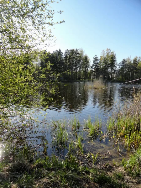 Étang Lac Pêche Endroit Pour Pêcher Calme Lac Calme Filature — Photo