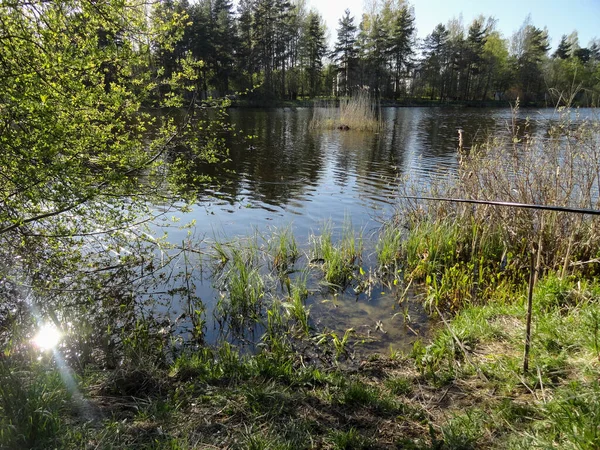 Étang Lac Pêche Endroit Pour Pêcher Calme Lac Calme Filature — Photo