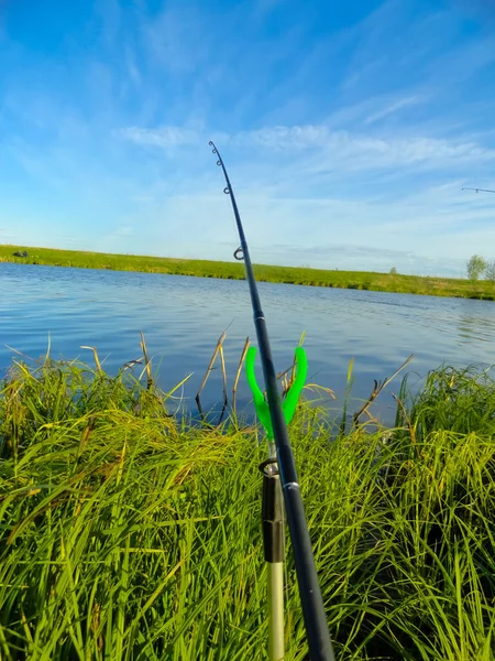 Fishing on a pond with fishing rods. Beautiful pond and fishing rods on the background of the pond.