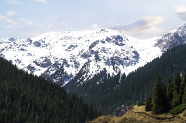 Yaz dağları yeşillikler ve mavi gökyüzü manzarası 