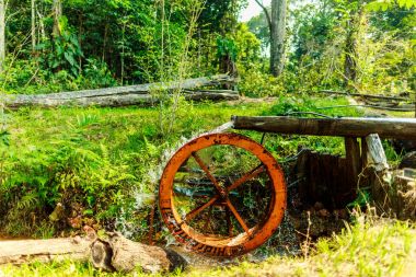 su çarkı orta ormandaki