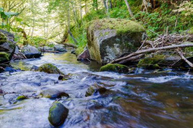 Dağ nehir. Sahalin.