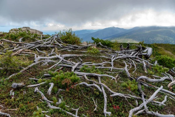 En la cima de la montaña Bykov. Sajalín . — Foto de Stock