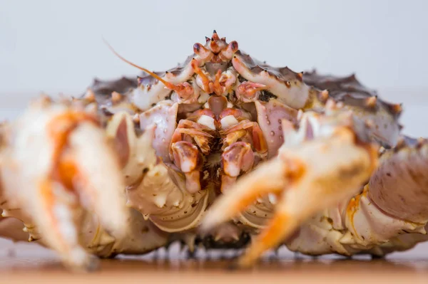Kamchatka crab. Close up.