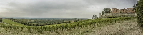 Panorama sur les collines avec vignobles et château Brolio en Toscane — Photo