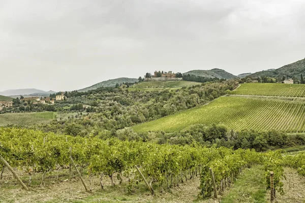 Colline con vigneti e castello Brolio in una giornata piovosa in autunno — Foto Stock