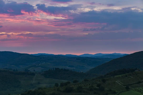 Krásný východ slunce s mlha mezi kopce s vinicemi — Stock fotografie
