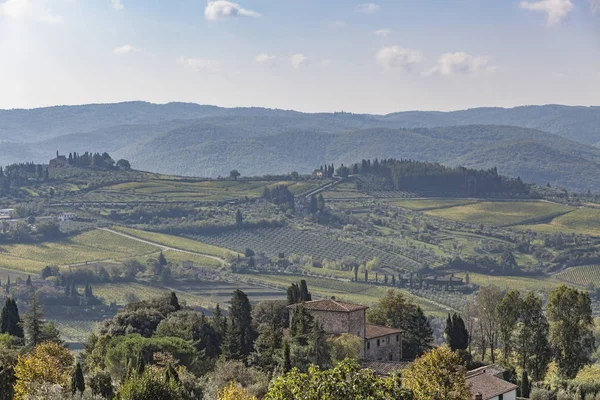 Veduta sulla vecchia casa in pietra a colline con vigneti vicino a Chastelli — Foto Stock