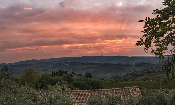 Krásný východ slunce s mlha mezi kopce s vinicemi — Stock fotografie