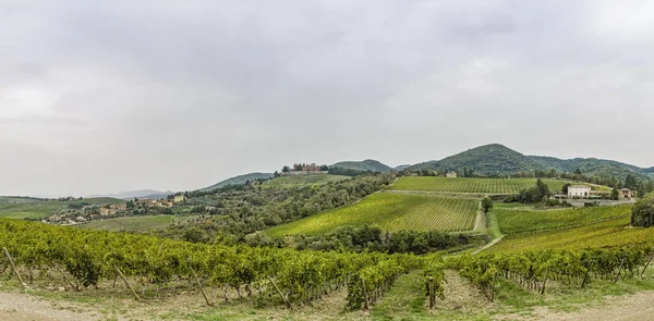 Panorama sulle colline con vigneti e castello Brolio in Tusc — Foto Stock