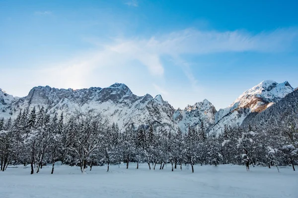 Mangart bergskedjan sett från snö covert fryst lake Fusine — Stockfoto