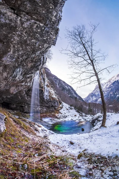 Árbol parado solo cerca de la cascada Goriuda en invierno nevado wonde — Foto de Stock