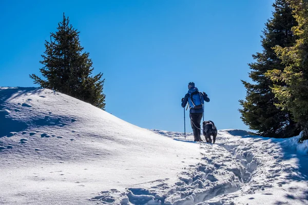 Caminante masculino caminando con el perro a través de nieve profunda en la montaña Rennfeld — Foto de Stock