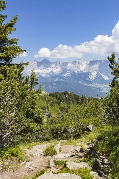 Trilha de caminhada da montanha Reiteralm para Gasselhoehe e montanha Dachstein — Fotografia de Stock