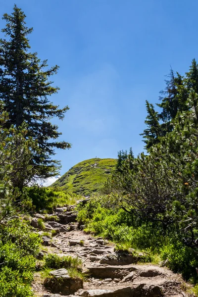 Vandringsleden från bergen Reiteralm till Gasselhoehe toppmötet med kors — Stockfoto