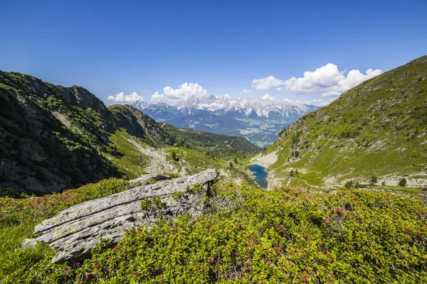 Vista desde la montaña con Alpenrose hasta el lago y la montaña Dachstein — Foto de Stock